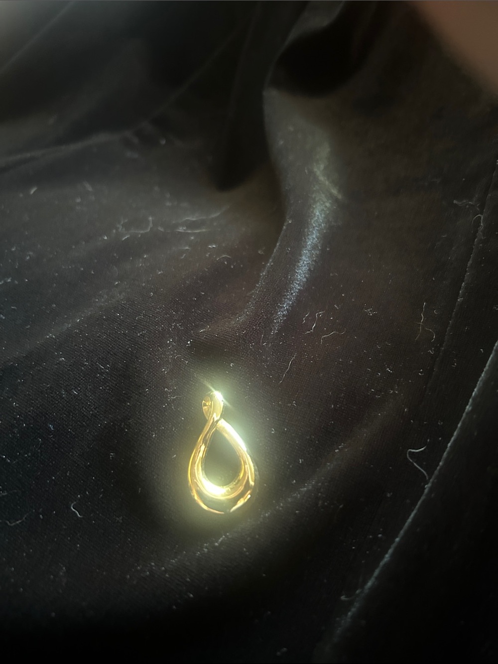 Lia Sophia Polished Gold Teardrop Loop Necklace Pendant